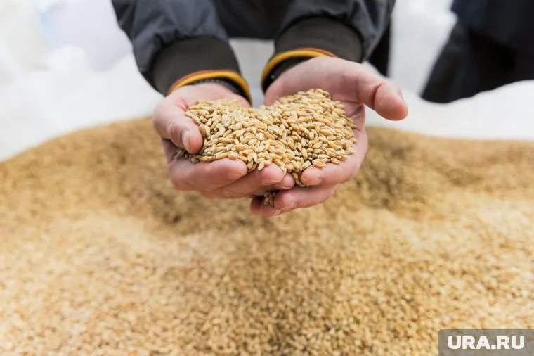 Челябинская область расширяет рынки для экспорта сельхозпродукции