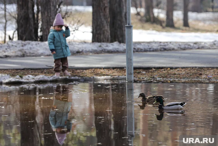 Выпавший в регионе снег уже почти весь растаял