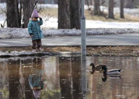 Пик потепления в Пермском крае пришелся на 7 ноября