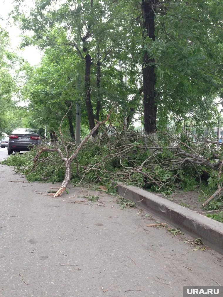 Электроснабжение в районах, пострадавших от сильнейшего урагана, восстановят только утром