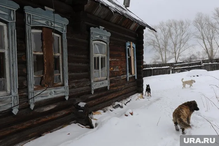 По мнению Владимира Пушкарева, наказывать нерадивых владельцев собак необходимо в рамках закона