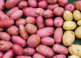 Фотография из галереи