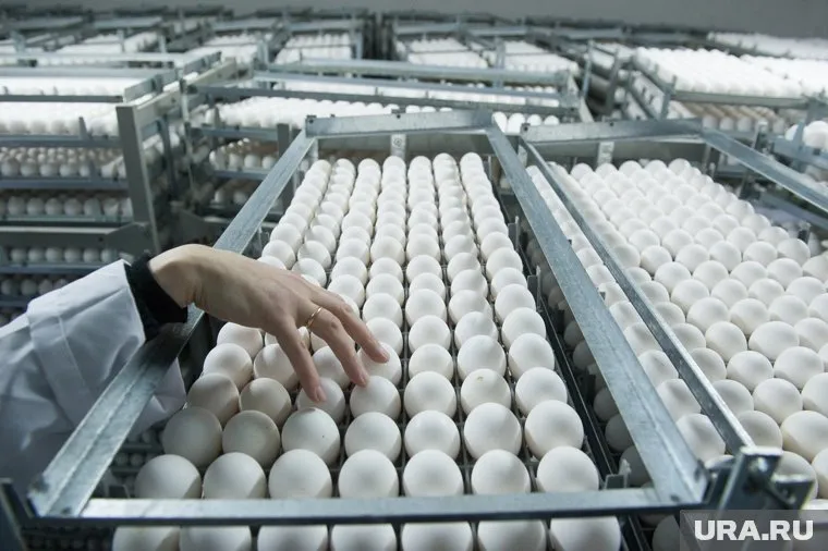 Комплекс реконструируют поэтапно