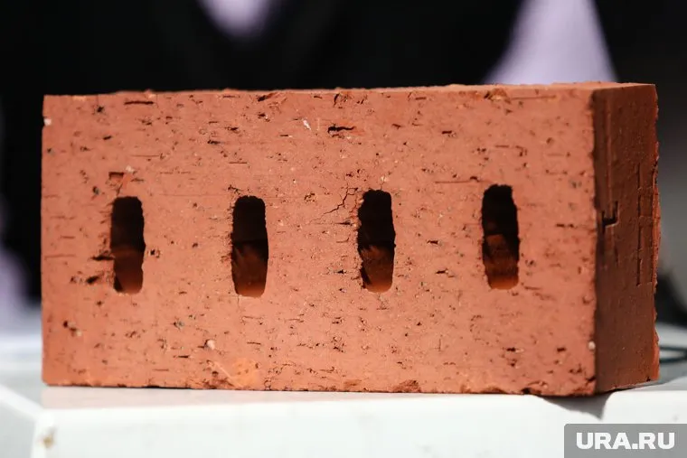 Курганец несколько раз ударил бомжа кирпичом