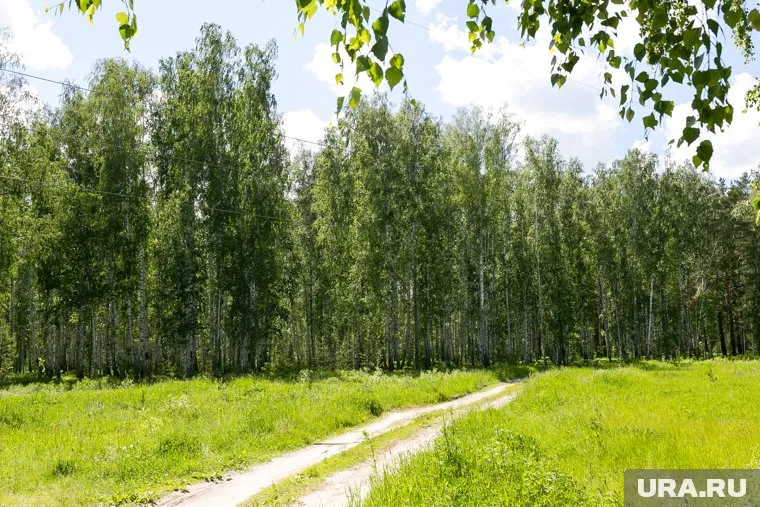 Тюменцам грозит штраф до 40 тысяч рублей за нарушение особого противопожарного режима