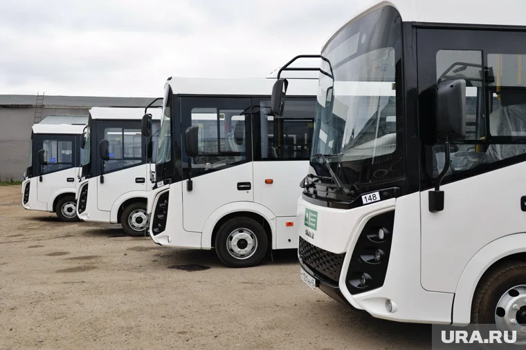 До конца 2025 года в Курган поступят 40 новых автобусов