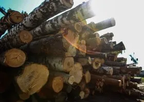 Москвичи банкротят прикамского инвестора