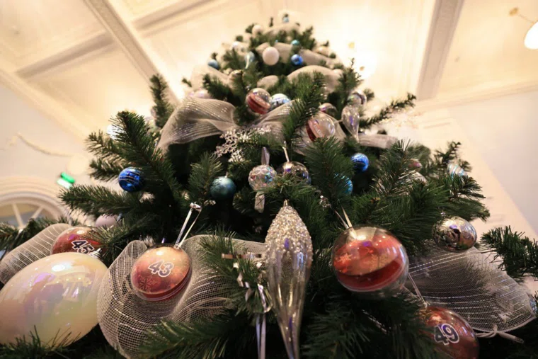 Курганский губернатор Шумков снял шар с «Елки желаний»