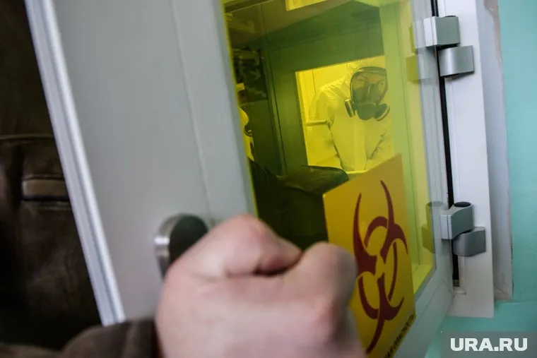 Работа ученых поможет в борьбе с коронавирусом