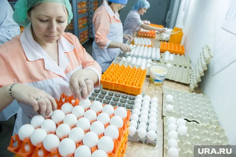 Цены на яйца, по данным Росстата, снизились на 14,5% с начала года