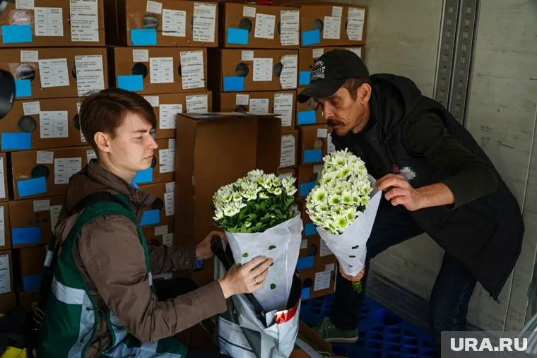 В цветах обнаружен вредитель 