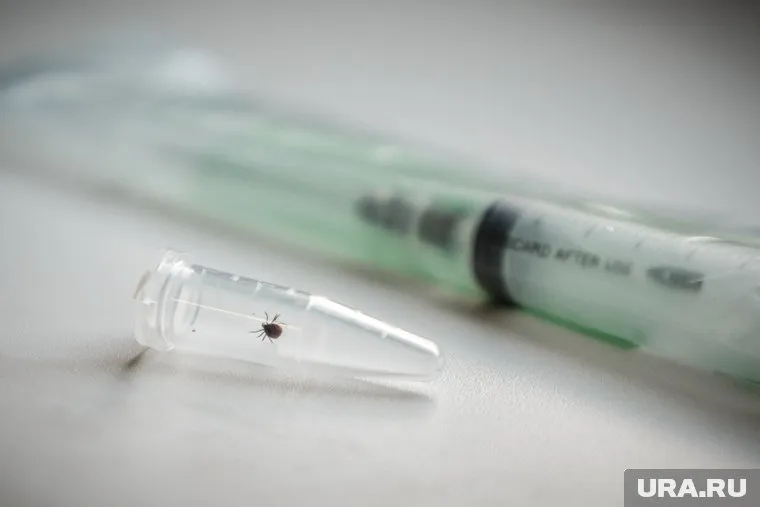 Результат на энцефалит может оказаться ложным