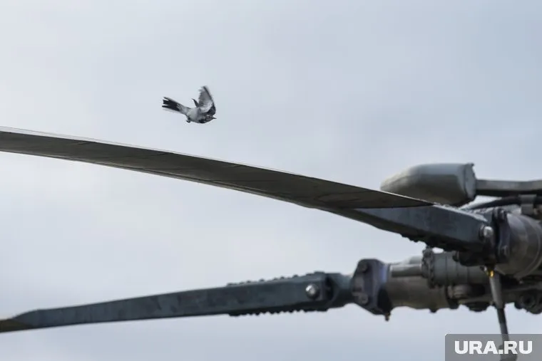 Вертолет упал на детский сад в Броварах