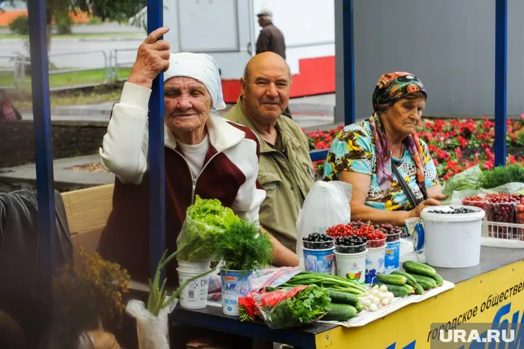 Продукции челябинских садоводов найдут место на магазинной полке