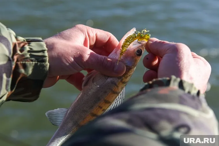 Рыбак отпустил пойманную рыбу (фото из архива)