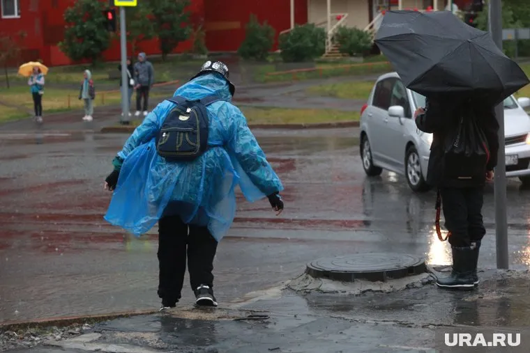 В Тюменской области 8 октября ожидаются порывы ветра
