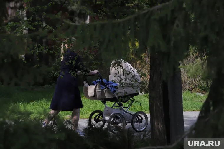 Выплаты могут получить только признанные матери-одиночки, отметила Екатерина Стенякина