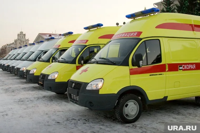 У московской транспортной компании для работы не хватило профессиональных водителей