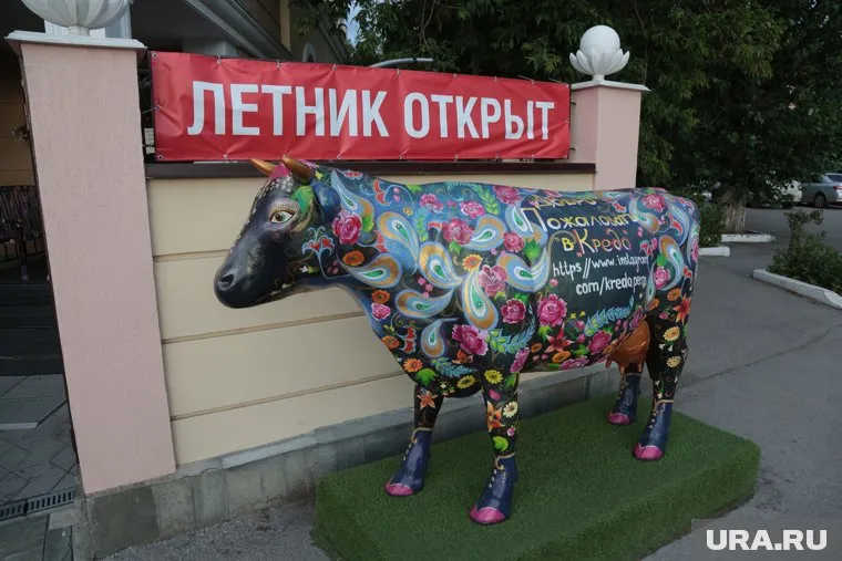 Источник: 12 августа пермским кафе разрешать принимать посетителей в залах