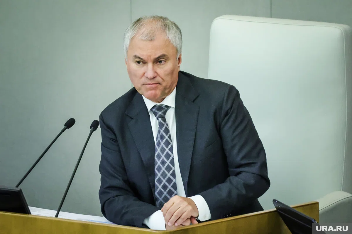 Володин заявил, что депутаты подготовили законопроект о самозанятых в такси