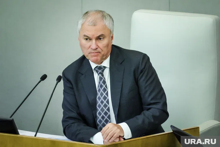 Володин заявил, что депутаты подготовили законопроект о самозанятых в такси