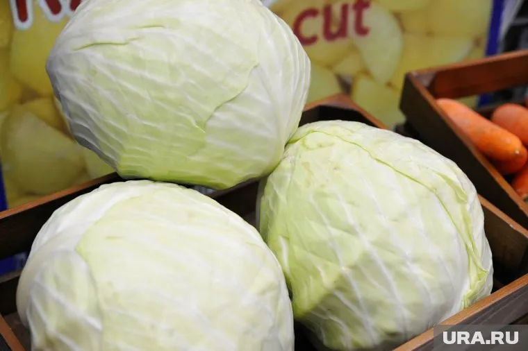 Свежая капуста может усиливать брожение в кишечнике