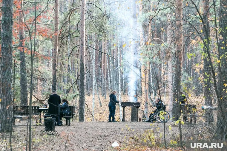 Беседки с мангалами в парке бесплатные