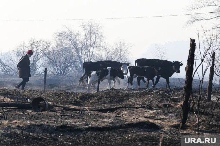 Фермеров в Кургане предупредили о необходимости соблюдать правила безопасности