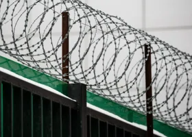 Фотография из галереи