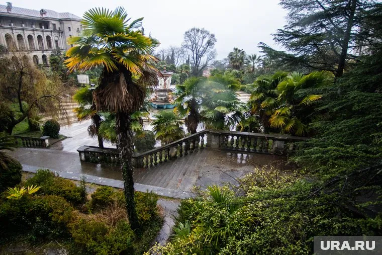 Больше 2% екатеринбуржцев хотели бы приобрести недвижимость в Сочи