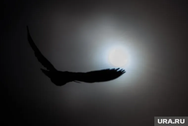 За необычным небесным явлением можно было наблюдать в разных уголках РФ