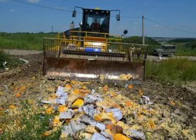 Россельхознадзор подсчитал объемы уничтоженной «санкционки»
