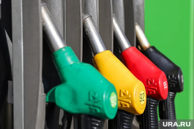Бензин двух марок подешевел в Курганской области. Скрин