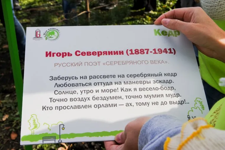 Высадка кедров в Литературном сквере. Челябинск