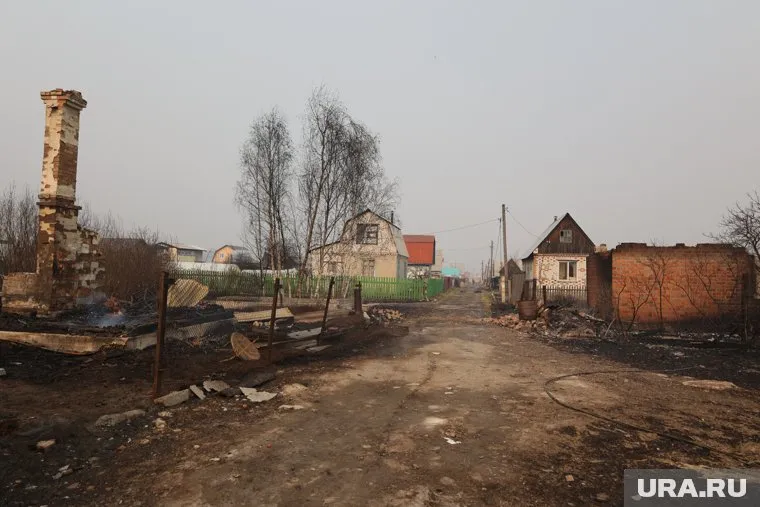 Во время пожара в СНТ «Малиновка» сгорело 55 жилых дома