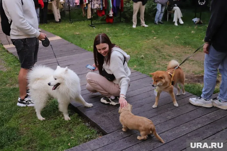 Восемь лучших ресторанов и кафе, куда пускают с животными