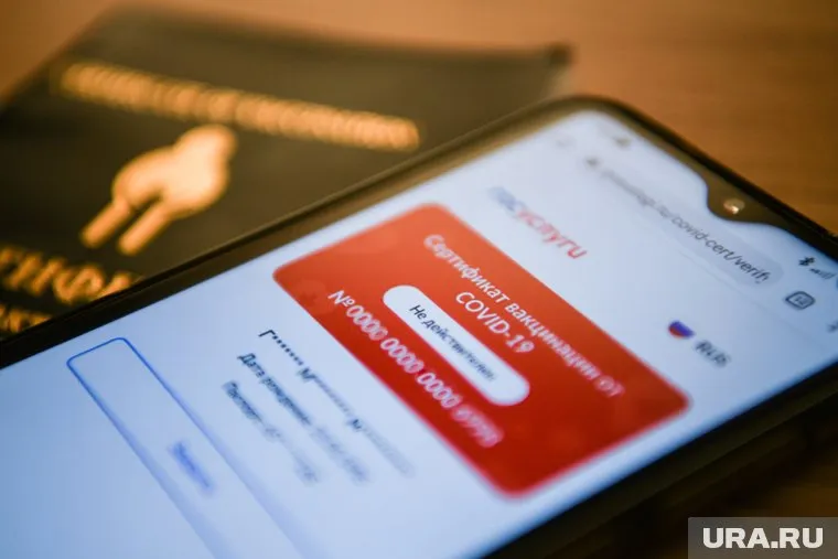 Продавец обещает, что все будет официально, и сертификат появится на госуслугах