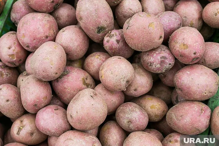 Картофель подорожал до 36,96 рублей за килограмм