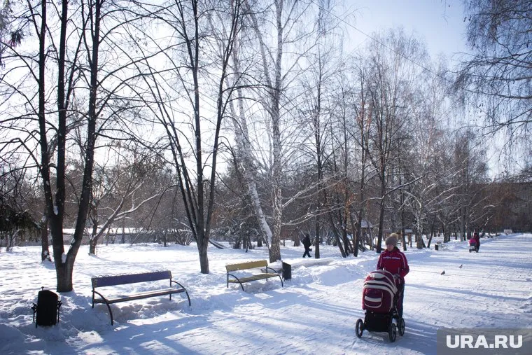 Жители Чебаркуля возмущены аллеей памяти герое СВО
