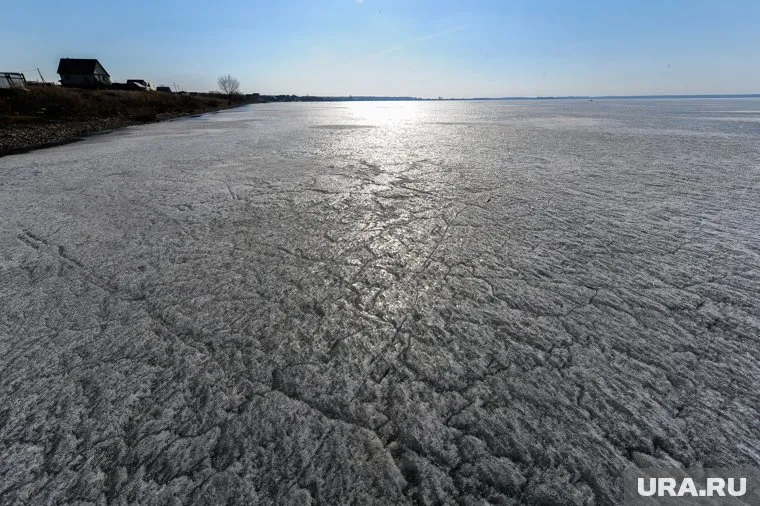 Вместе с ребятами на болоте был приемный брат девочки (архивное фото)