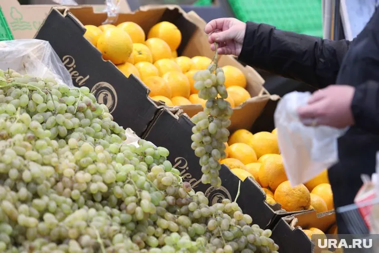 Фрукты пытались провезти в Москву (архивное фото)