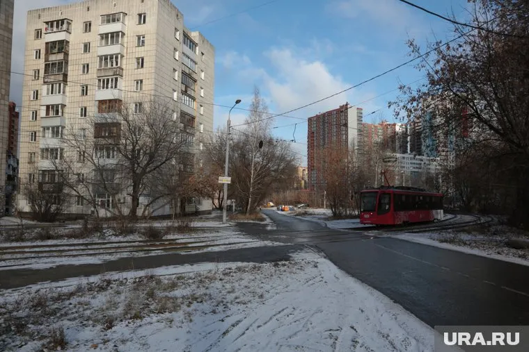 На изъятых землях власти планируют построить дорогу