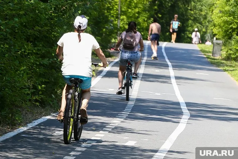 В Кургане откроют веревочный городок осенью