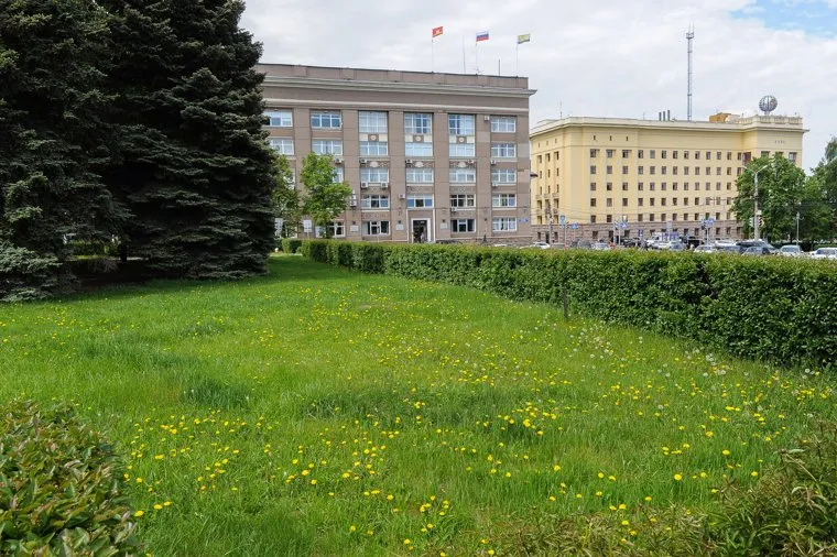 Одуванчики перед городской администрацией. Челябинск, одуванчики, сорняки, не стриженый газон