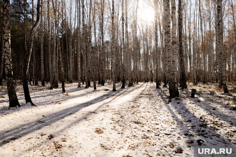 Жуткую находку обнаружили прохожие (архивное фото)