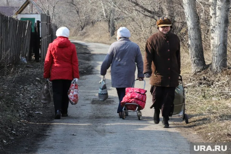 Специальные документы для поездки на дачу не нужны