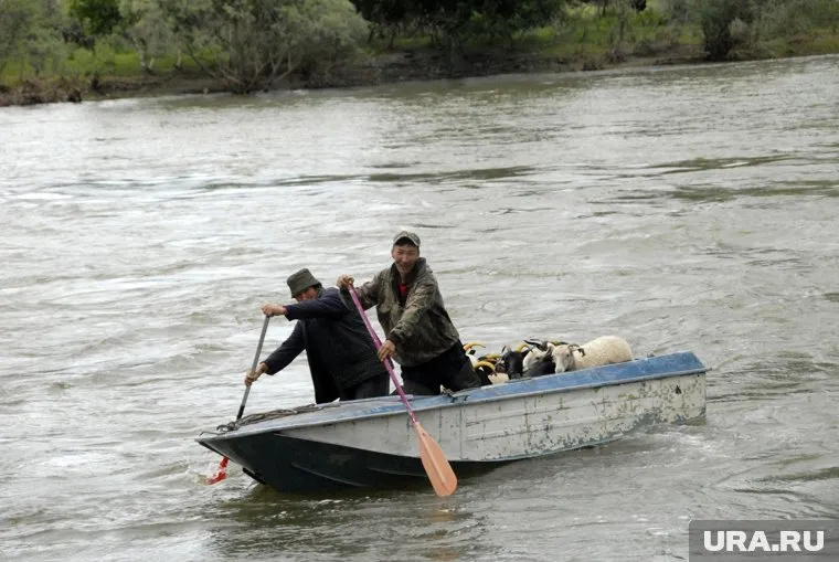 Жителей поселка Никель срочно эвакуируют из-за прорыва дамбы