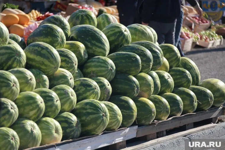 Спелая дыня должна приятно пахнуть, а противоположная сторона от хвостика быть немного мягкой
