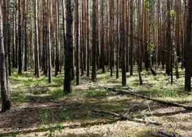 Тюменцев атаковали змеи