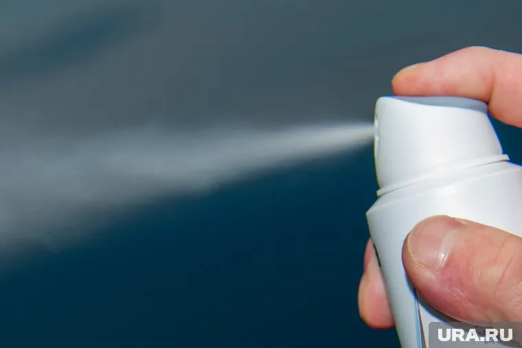 Виноградов заявил, что дом проветривался два часа после распыления дихлофоса